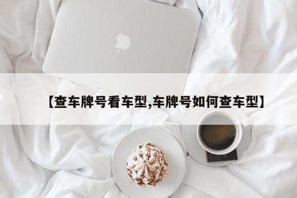 【查车牌号看车型,车牌号如何查车型】