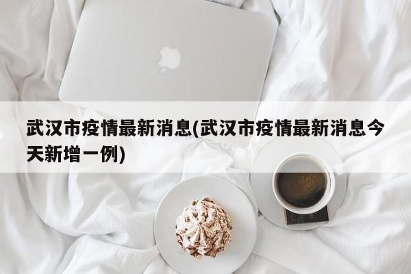 武汉市疫情最新消息(武汉市疫情最新消息今天新增一例)
