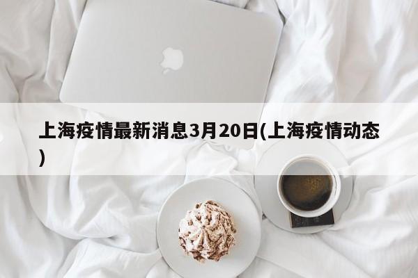 上海疫情最新消息3月20日(上海疫情动态)