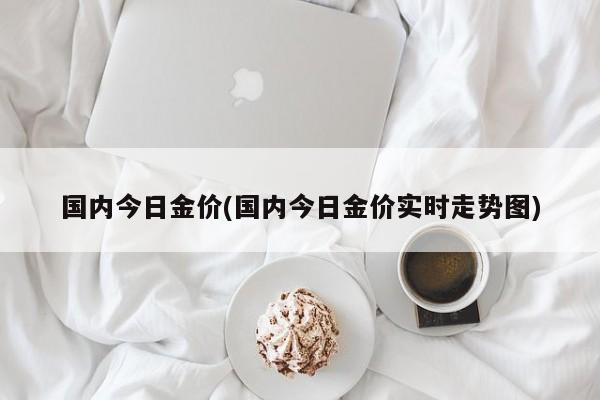 国内今日金价(国内今日金价实时走势图)