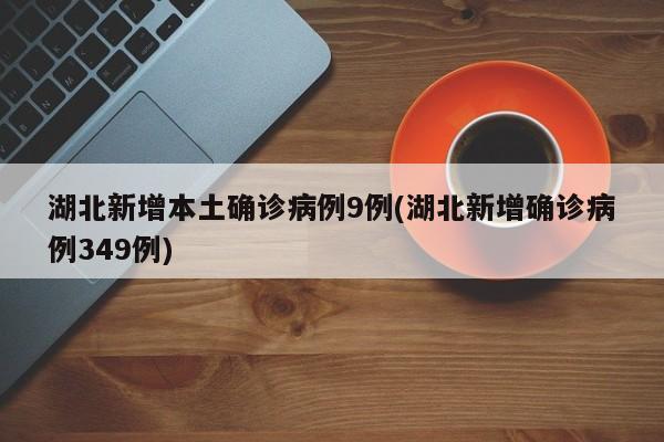 湖北新增本土确诊病例9例(湖北新增确诊病例349例)