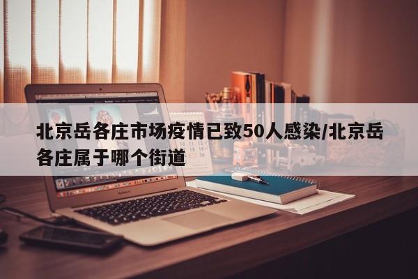 北京岳各庄市场疫情已致50人感染/北京岳各庄属于哪个街道