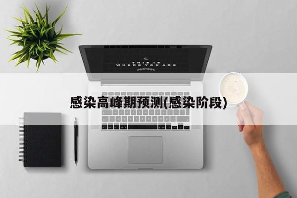 感染高峰期预测(感染阶段)