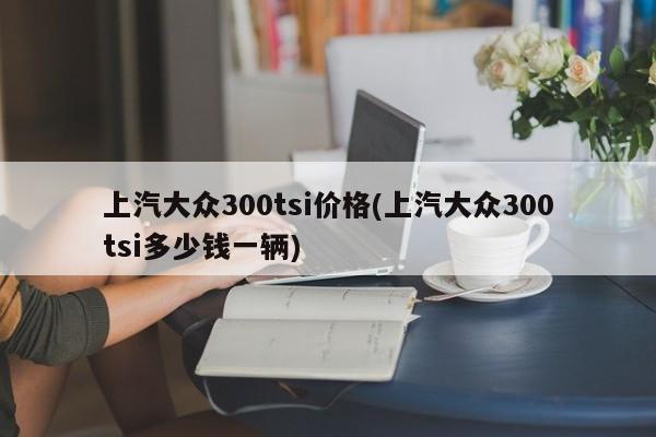上汽大众300tsi价格(上汽大众300tsi多少钱一辆)