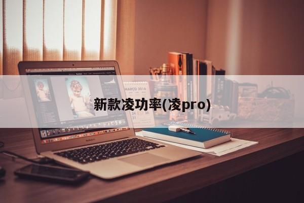 新款凌功率(凌pro)